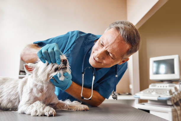 Best Weekend Emergency Dentist in Rhome, TX